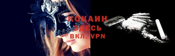 хмурый Карпинск