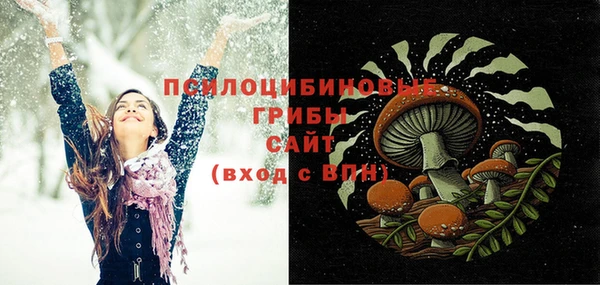spice Абаза