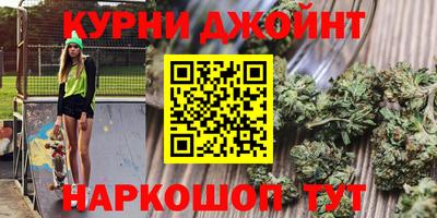гидра Тара