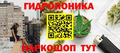 ПСИЛОЦИБИНОВЫЕ ГРИБЫ Камышлов